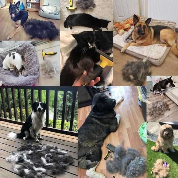 Best Professional De-Shedding Tool and Pet Grooming Brush, D-Shedz for Breeds of - Picture 9 of 9